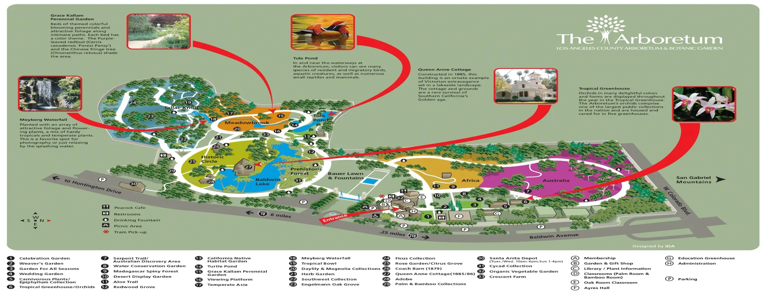 Image for Arboretum Exploration